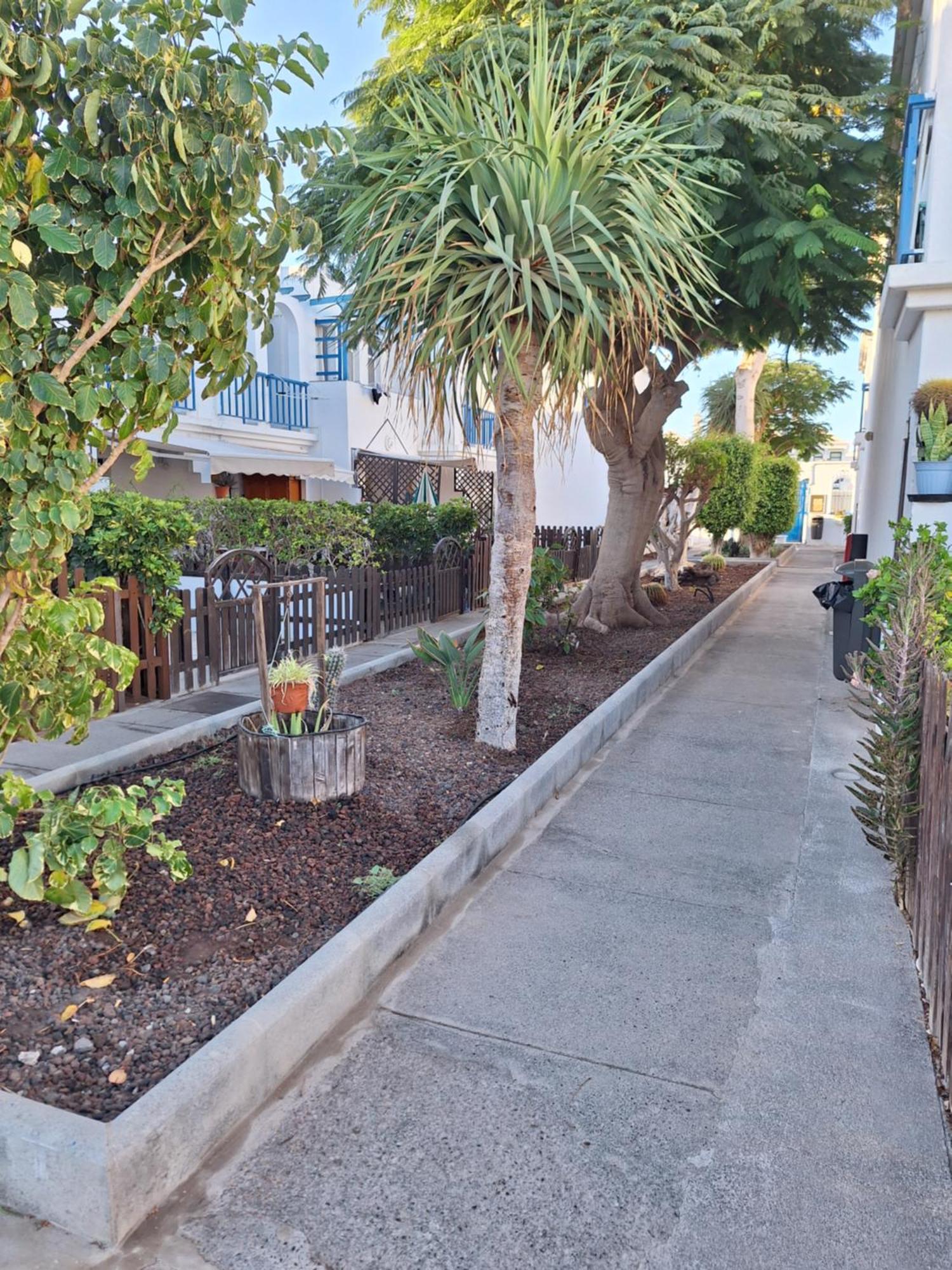 Poolfront Bungalow Πλάγια ντελ Ινγκλές Εξωτερικό φωτογραφία